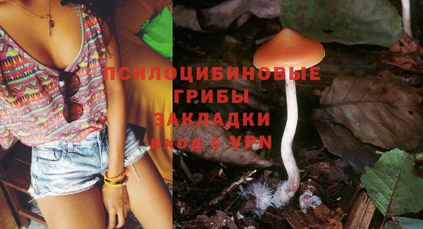 а пвп мука Абаза