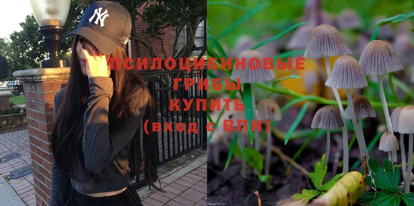 шишки Абдулино