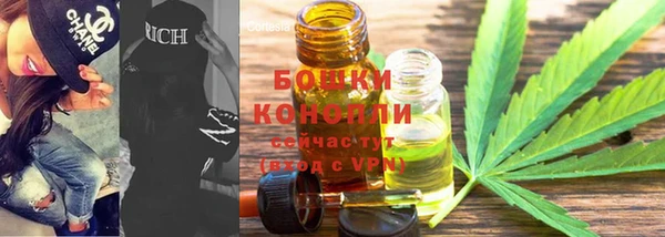 шишки Абдулино