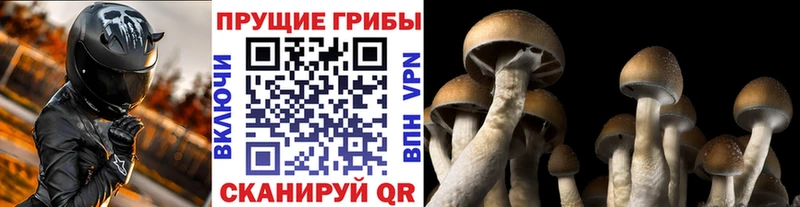 сколько стоит  Сорск  площадка Telegram  Галлюциногенные грибы ЛСД  блэк спрут ССЫЛКА 